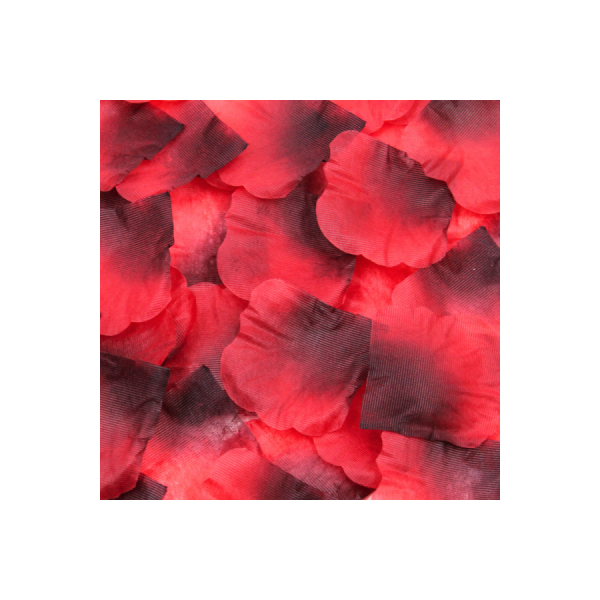 Pack de 100 Pétales de Rose